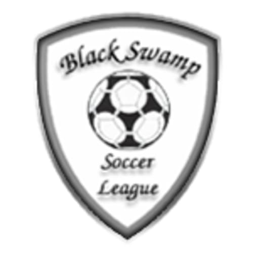 Black Swamp Soccer League logo